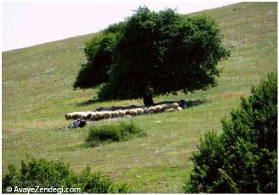 سفر به جای پای خورشید 