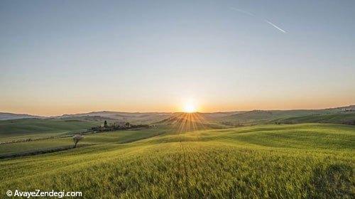 تصاویر زیبا و رویایی از وال دورچه