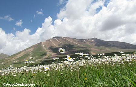 کوه سهند عروس کوهستانهای ایران