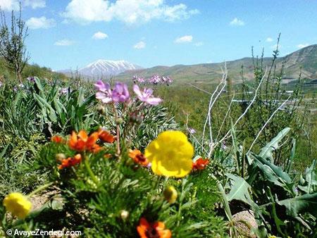 کوه سهند عروس کوهستانهای ایران