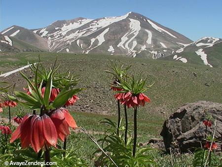 کوه سهند عروس کوهستانهای ایران