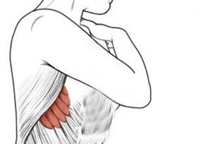 حفظ تناسب اندام با چند حرکت ورزشی