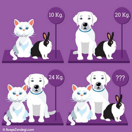 وزن سگ، گربه و خرگوش را بیابید