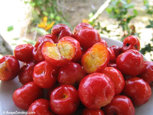 بهترین میوه ها برای مقابله با کم خونی