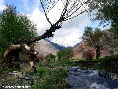 اینجا هم باغ دارد، هم رود