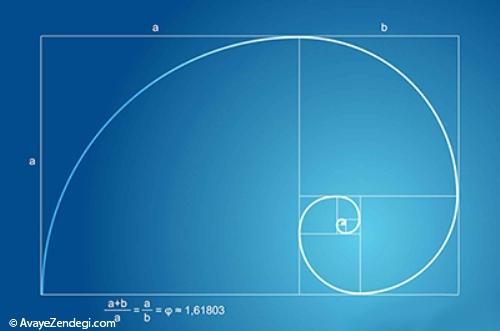 اعداد فیبوناچی در قالب طبیعت