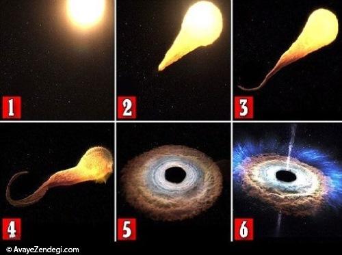 مچ‌گیریِ یک سیاهچاله هنگام قتل یک ستاره