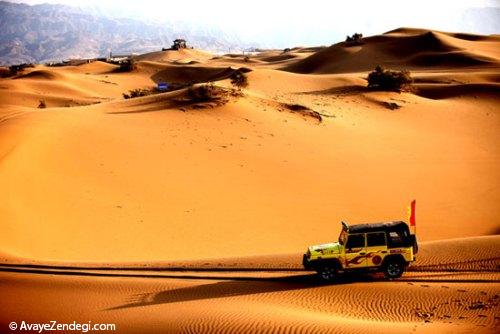 در سفر به «نینگ شیا» کویر و جنگل را یکجا ببینید