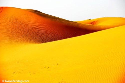 در سفر به «نینگ شیا» کویر و جنگل را یکجا ببینید