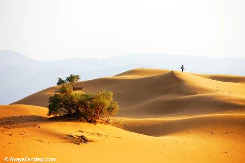 در سفر به «نینگ شیا» کویر و جنگل را یکجا ببینید