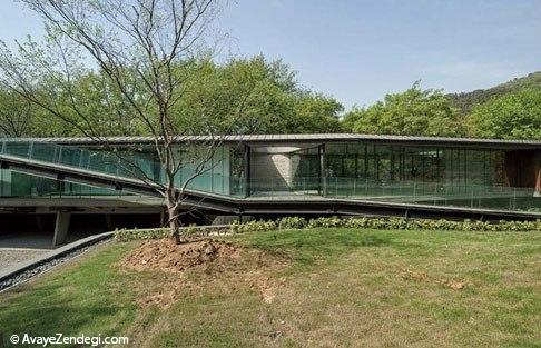 بهشت معماری در قلب جنگل بهشت معماری در قلب جنگل
