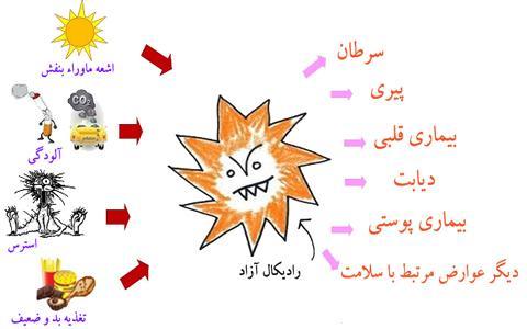 آنتی اکسیدان چیست و چه نقشی در بدن و ورزش دارد؟