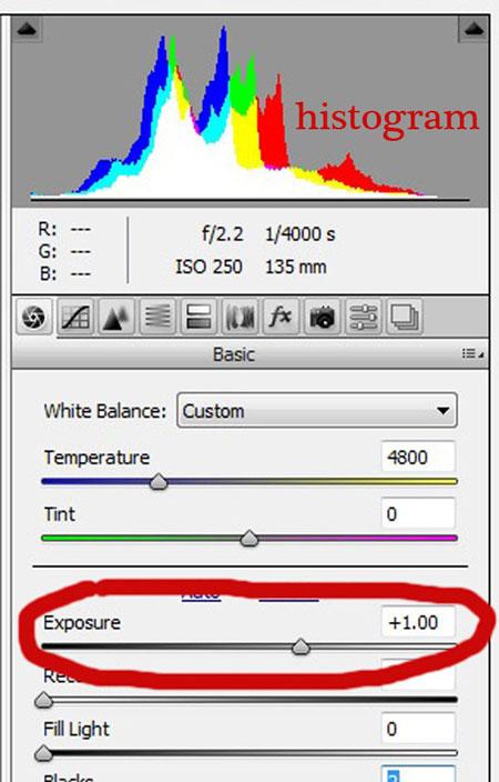 آموزش اصلاح رنگ پوست در Adobe camera raw