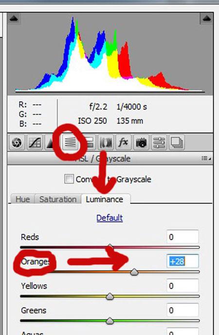 آموزش اصلاح رنگ پوست در Adobe camera raw