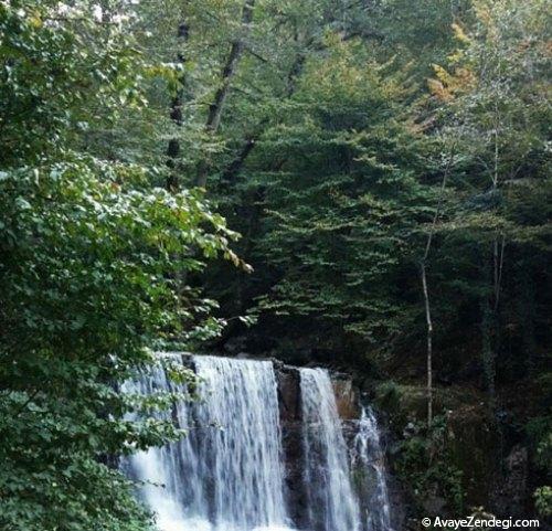  سفری دلپذیر در اعماق جنگل بکر سواد کوه 