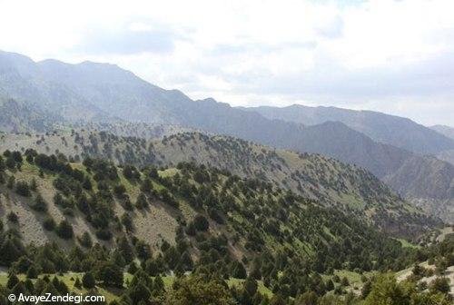 آبشار زیبای «نورالی» در رشته کوه هزار مسجد