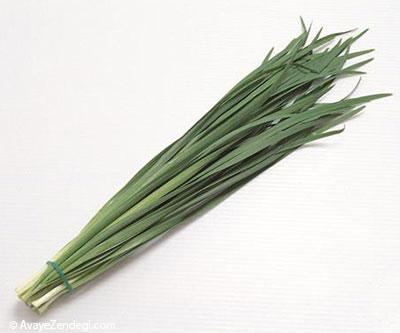 10 گیاه دارویی که عفونت را از بدن دور میکند