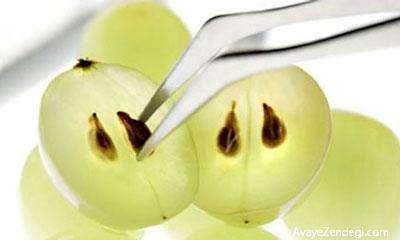  4 هسته برای مقابله با تومورهای سرطانی 