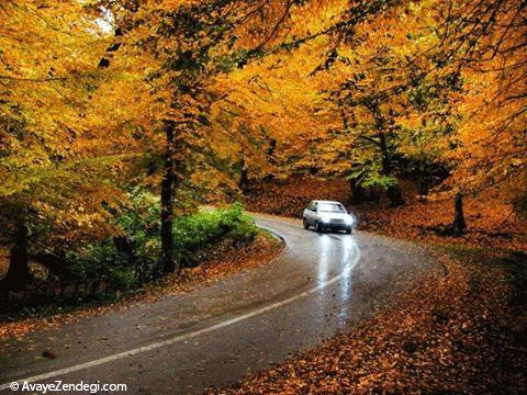 نکته هایی درباره رانندگی در جاده های بارانی