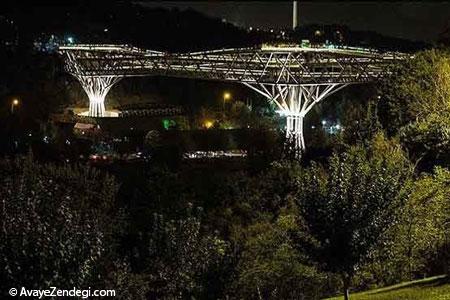 پل طبیعت دومین طرح برتر جهان پل طبیعت دومین طرح برتر جهان