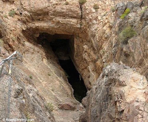 ماهی‌ هایی که در بیابان زندگی می‌کنند