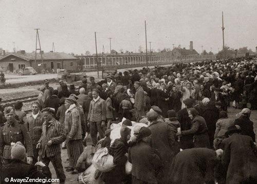 آشویتس، اردوگاه مرگ نازی ها