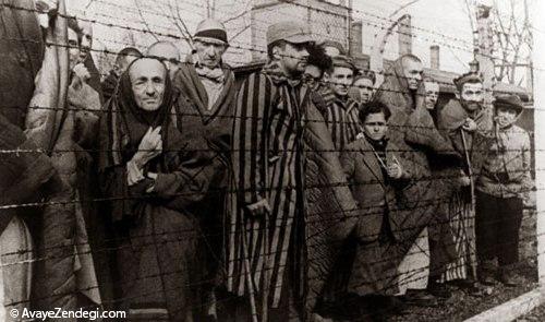 آشویتس، اردوگاه مرگ نازی ها