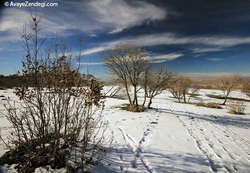 طبیعت زمستانی رومشگان