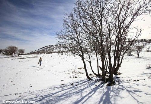 طبیعت زمستانی رومشگان