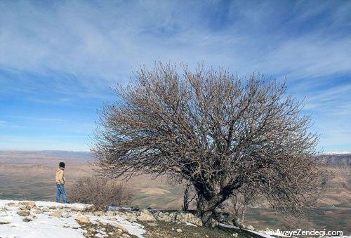 طبیعت زمستانی رومشگان