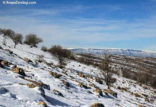 طبیعت زمستانی رومشگان