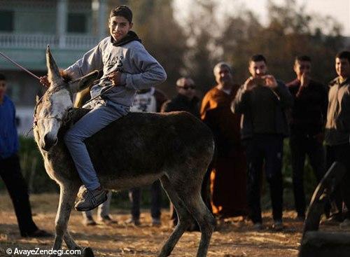 الاغی که با پریدن مشهور شد