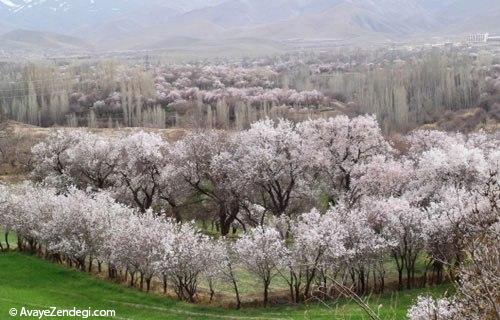کم هزینه‌ترین شهرهای ایران در نوروز