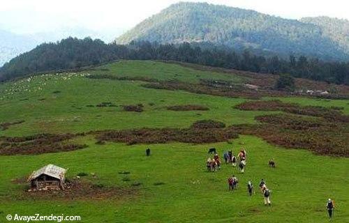 کم هزینه‌ترین شهرهای ایران در نوروز