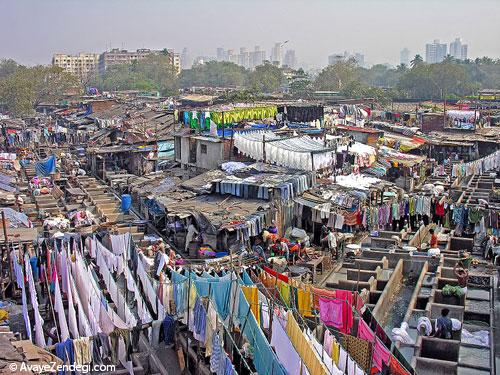 گشت و گذار در قلب بالیوود گشت و گذار در قلب بالیوود