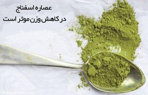 آوای زندگی