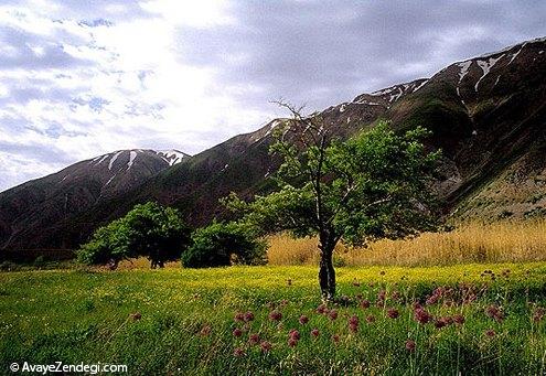 10 جاذبهی بکر برای ایرانگردی در بهار 10 جاذبهی بکر برای ایرانگردی در بهار