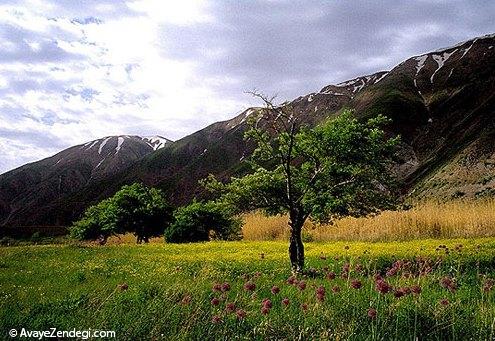  10 جاذبه‌ی بکر برای ایرانگردی در بهار 