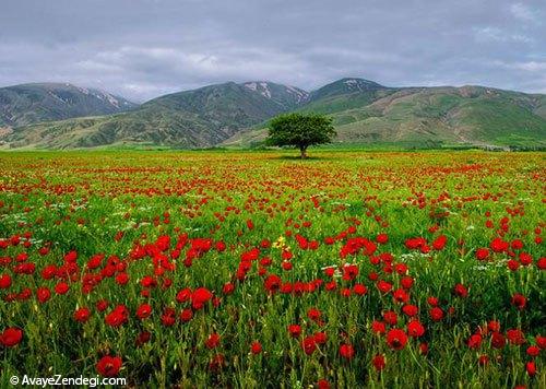 10 جاذبهی بکر برای ایرانگردی در بهار 10 جاذبهی بکر برای ایرانگردی در بهار