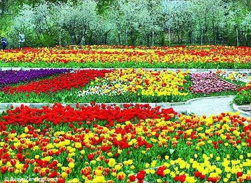 10 جاذبهی بکر برای ایرانگردی در بهار 10 جاذبهی بکر برای ایرانگردی در بهار