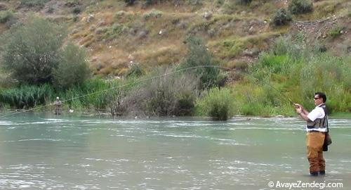 گام به گام تا تبدیل شدن به یک ماهی گیر حرفه ای