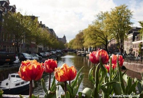 بهترین شهرها برای مسافرت در بهار