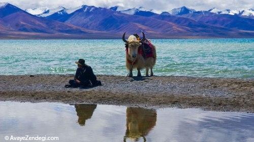 سفر به سرزمین بودا (2)