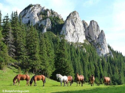 رومانی؛ سرزمین افسانه‌ایِ دراکولای منفور