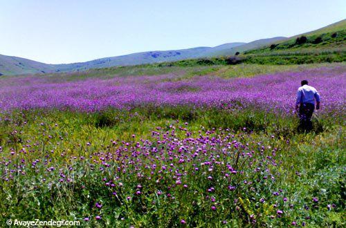 زیباترین روستای اردبیل را دیده اید؟