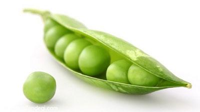 گیاهان عضله ساز کدامند؟ گیاهان عضله ساز کدامند؟