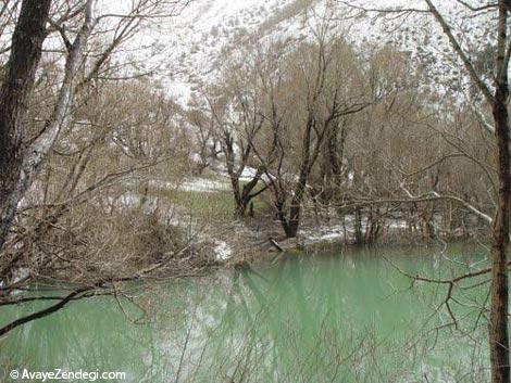 مارمیشو؛ ناشناخته‌ای در دنیای ارومیه