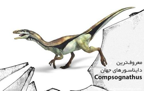 معروف‌ترین دایناسورهای جهان: كامپسوگناتوس 