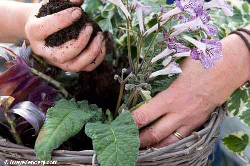 روش ساخت سبد آویز بوته ای برای داخل خانه