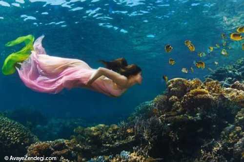 زیباترین تصاویر عکاسی زیر آب